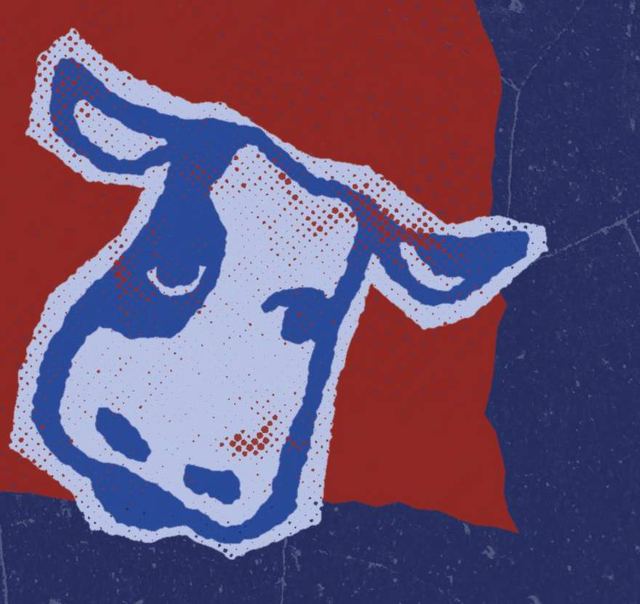 Tête de vache bleue tramée, découpée et collée sur des aplats rouge et bleu nuit.